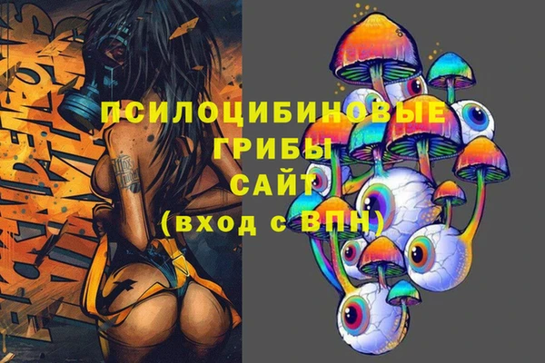 дживик Бронницы